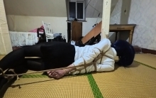 【路人】欧式直臂驷马可否在十分钟内挣脱束缚？