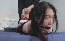 BD无限公司第一季大合集