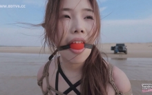 【缇娜】【有奖问答】 蹦跳的鱼