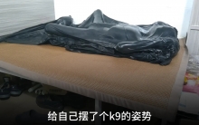 真空床另类的k9与后手缚
