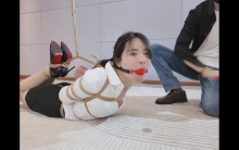 职业女性杨若琳的驷马折磨