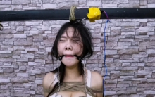 将女骗子绳捆索绑直立吊起来,脚底按了个脚踏开关,头顶按了个360激活开关串联于郊狼电击,上下自动电击,到最后竞将女骗子折磨成了植物人,....